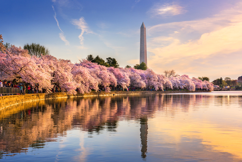 DC City Skyline